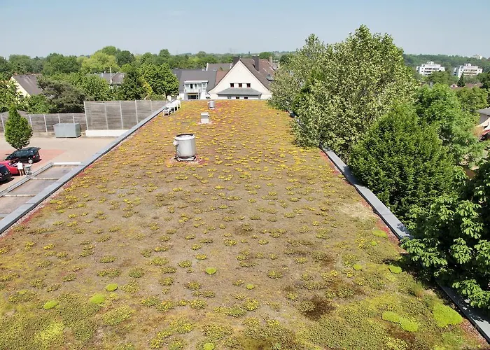 Petul Stadtgarten * 에센